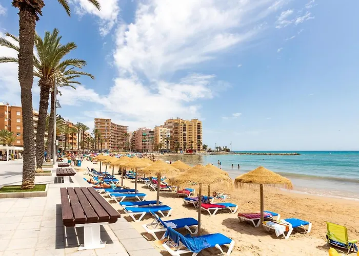 Caballero De Rodas Torrevieja