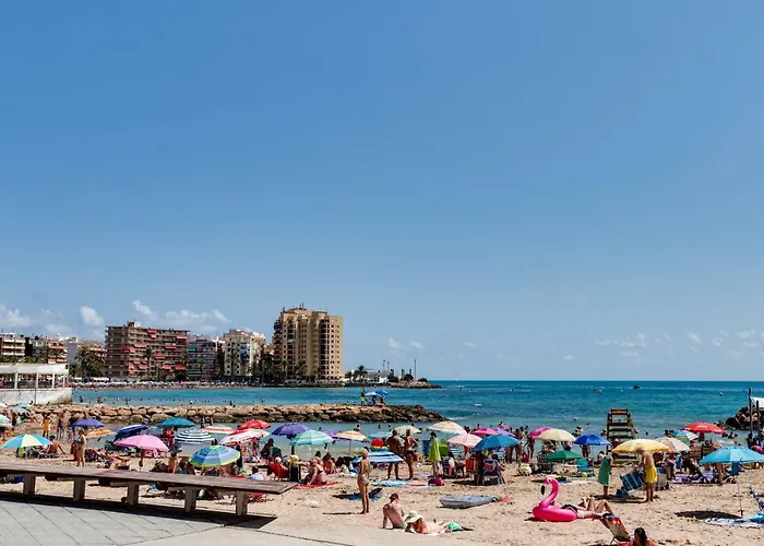 Caballero De Rodas Torrevieja