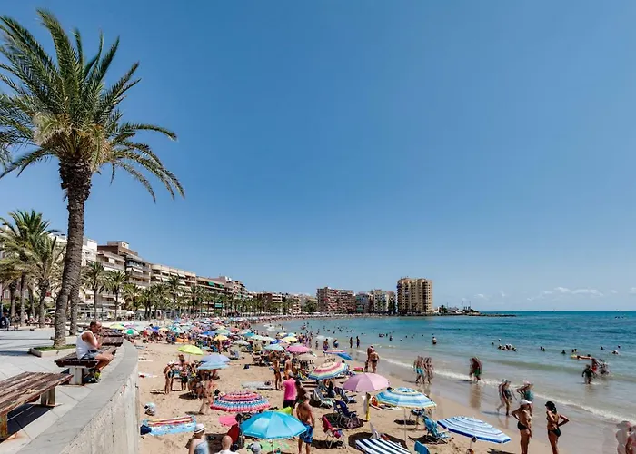 Caballero De Rodas Torrevieja